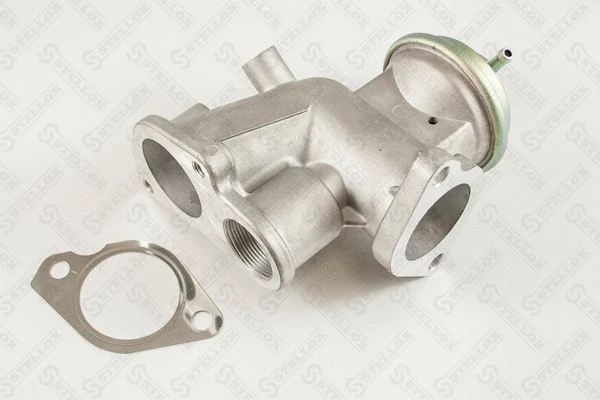 EGR Valve (01-25080-SX)