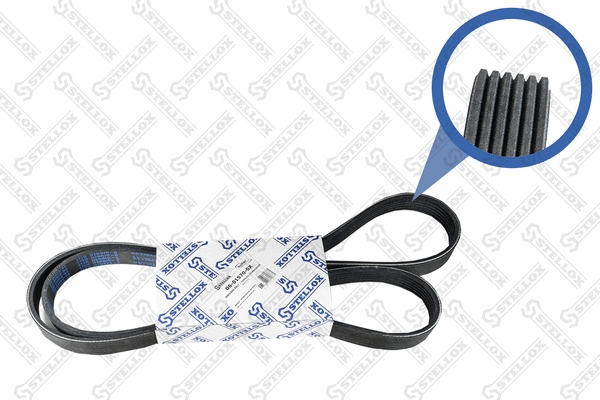 V-Ribbed Belt (06-01570-SX)