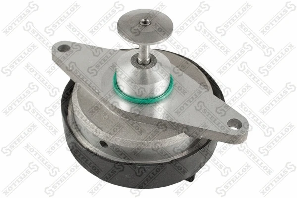 EGR Valve (01-25005-SX)