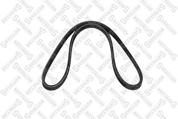 V-Ribbed Belt (03-00798-SX)