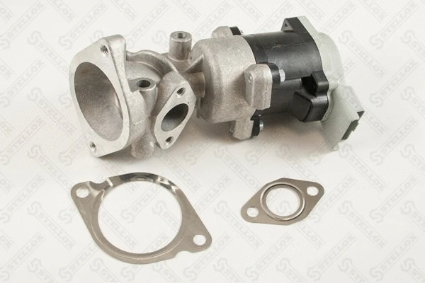 EGR Valve (01-25119-SX)