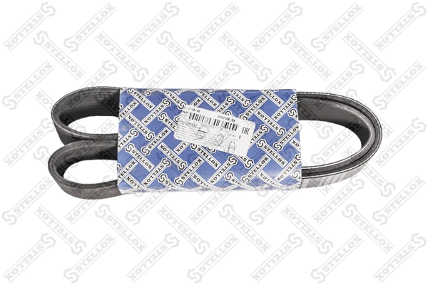 V-Ribbed Belt (01-01108-SX)