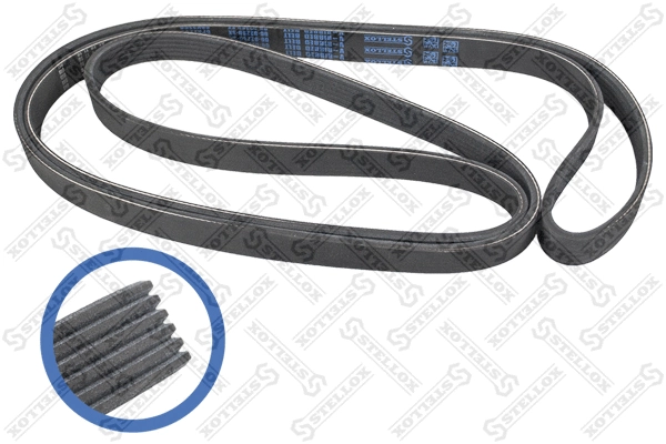 V-Ribbed Belt (06-02260-SX)