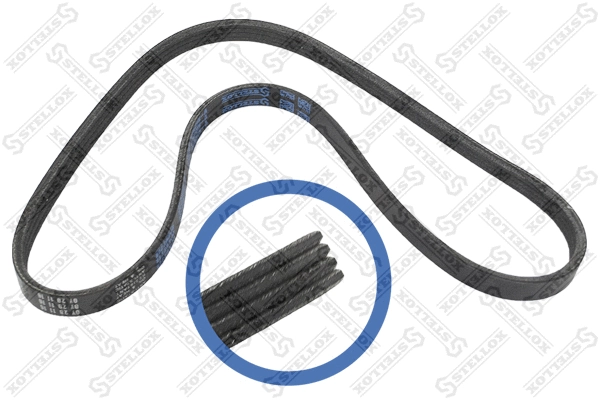V-Ribbed Belt (04-00922-SX)
