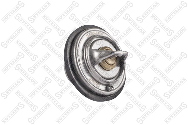 Thermostat, coolant (23-40069-SX)