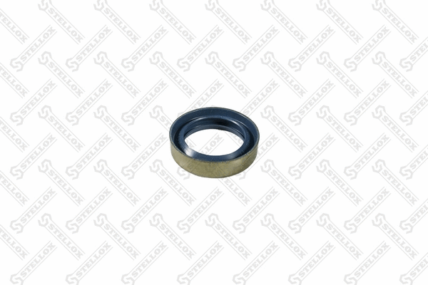 Seal Ring, spring bush (spring eye) (81-01209-SX)