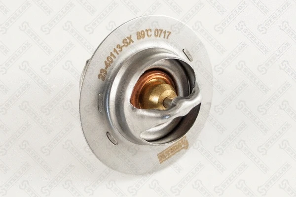 Thermostat, coolant (23-40113-SX)