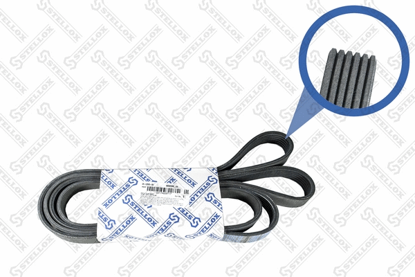 V-Ribbed Belt (06-02585-SX)