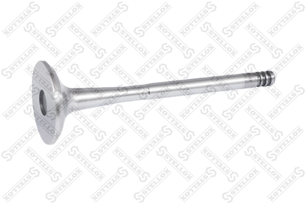 Exhaust Valve (01-24126-SX)