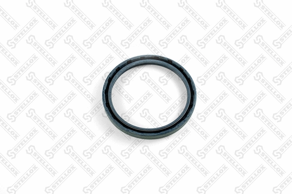 Seal Ring, spring bush (spring eye) (81-01145-SX)