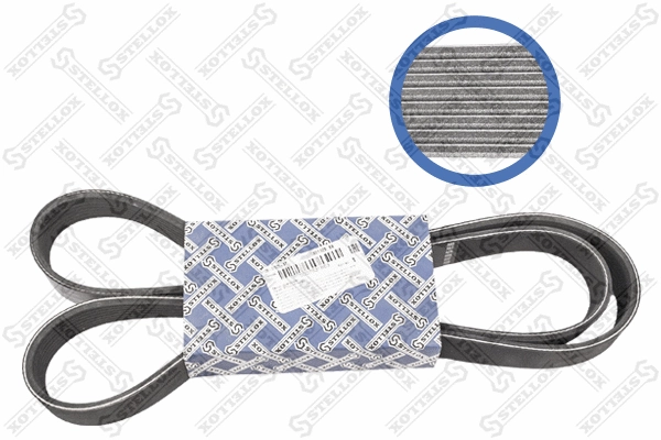 V-Ribbed Belt (08-01525-SX)