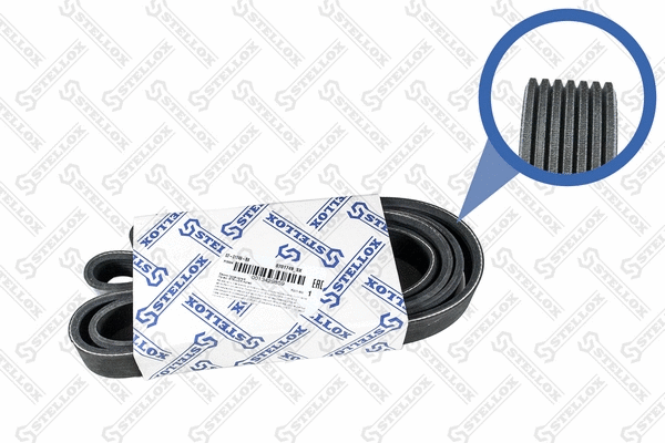 V-Ribbed Belt (07-01749-SX)