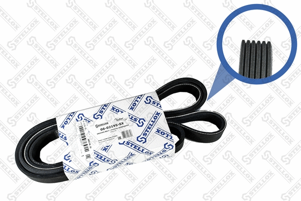 V-Ribbed Belt (06-02195-SX)
