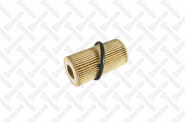 Oil Filter (20-50379-SX)