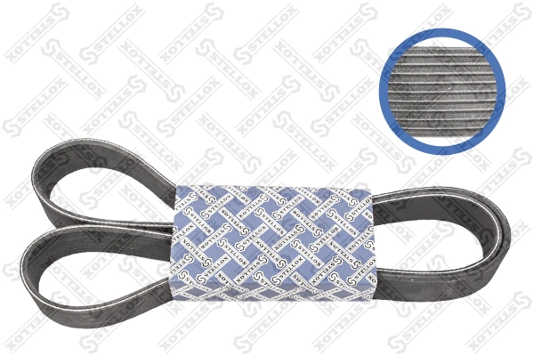 V-Ribbed Belt (01-01505-SX)