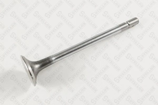 Exhaust Valve (01-24366-SX)