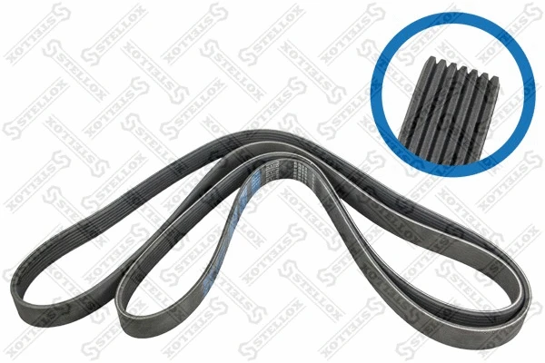 V-Ribbed Belt (07-02682-SX)