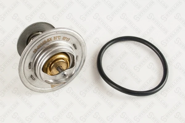 Thermostat, coolant (23-40148-SX)