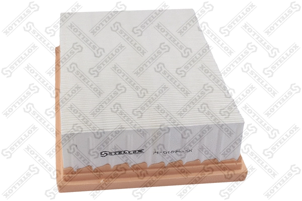 Air Filter (71-01894-SX)