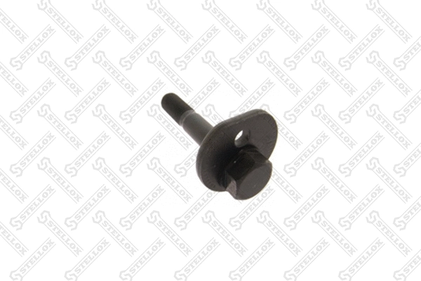Screw (79-01103-SX)