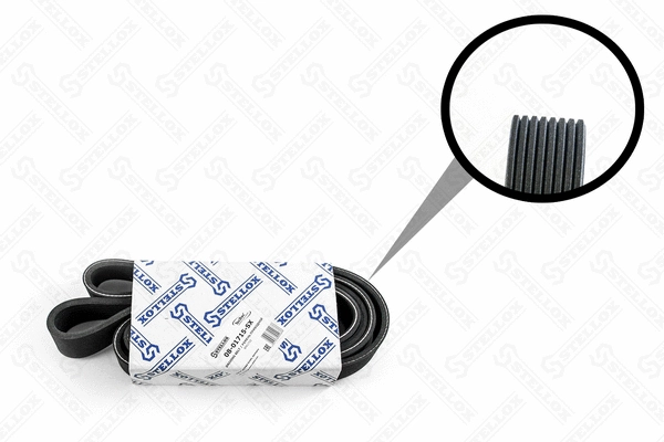 V-Ribbed Belt (08-01715-SX)