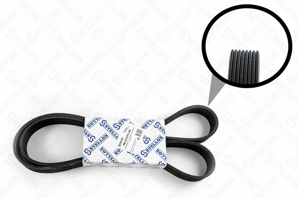V-Ribbed Belt (08-01575-SX)
