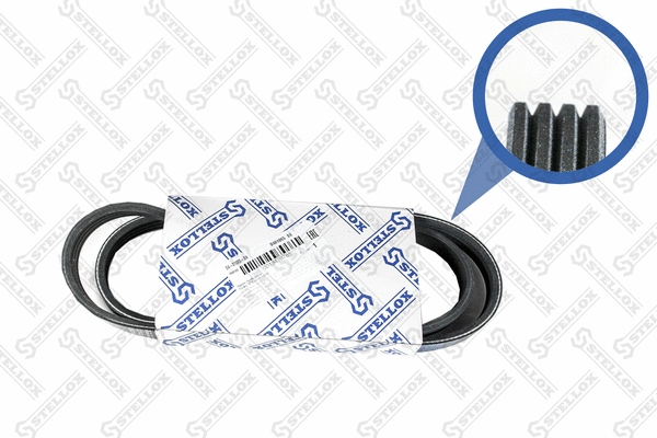 V-Ribbed Belt (04-01065-SX)