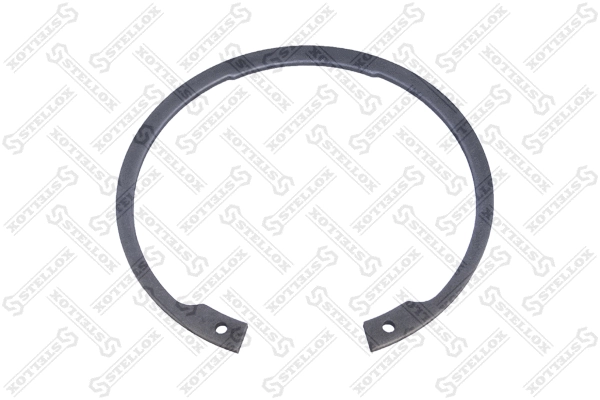 Circlip (89-03624-SX)