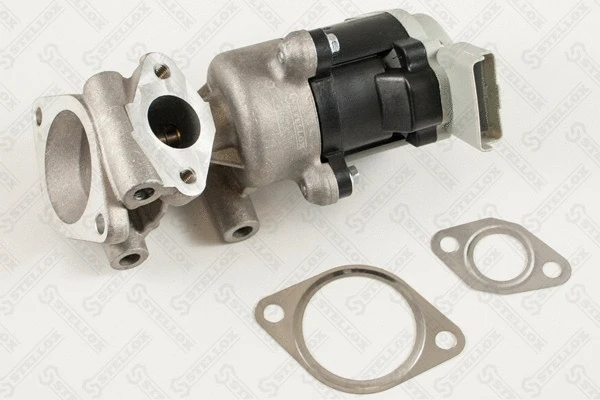 EGR Valve (01-25027-SX)