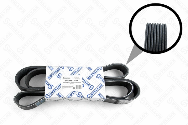 V-Ribbed Belt (08-01815-SX)