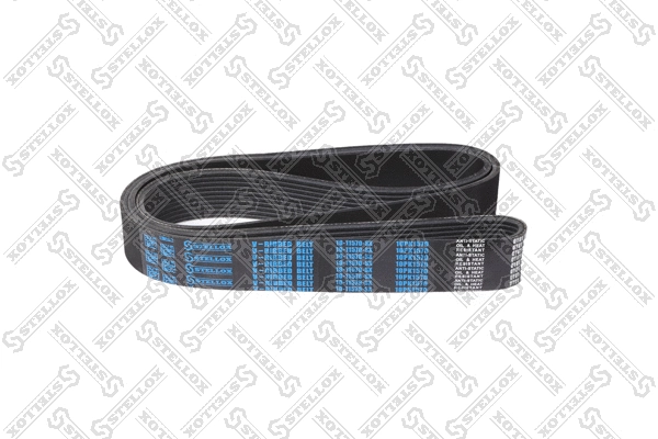 V-Ribbed Belt (10-11570-SX)