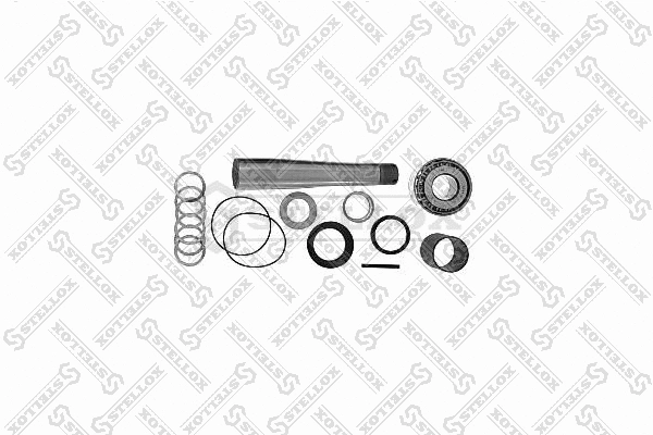 Repair Kit, kingpin (84-16028-SX)