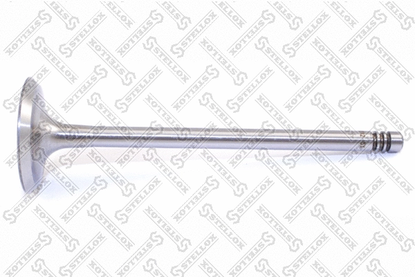 Intake Valve (01-23012-SX)