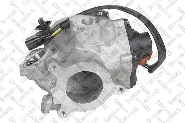 EGR Valve (01-25139-SX)