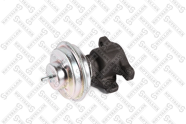 EGR Valve (01-25165-SX)
