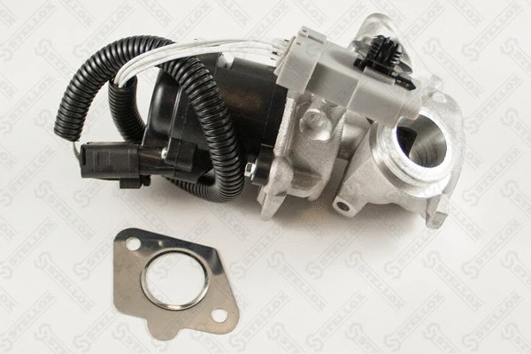 EGR Valve (01-25116-SX)