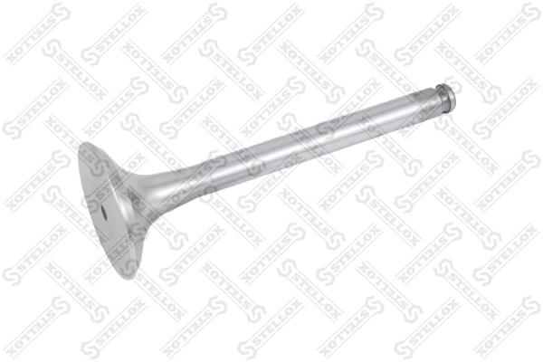 Exhaust Valve (81-24611-SX)