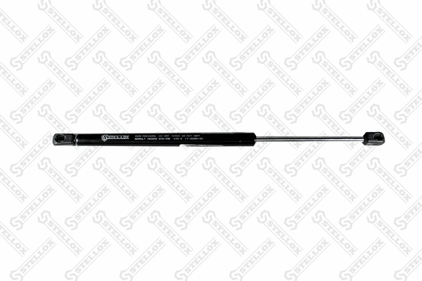 Gas Spring, boot/cargo area (11-30284-SX)