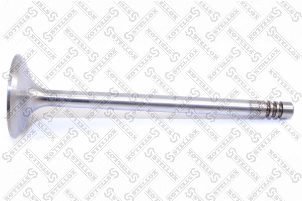Intake Valve (01-23289-SX)