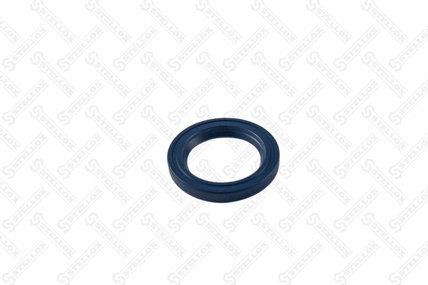 Seal Ring, spring bush (spring eye) (81-01260-SX)