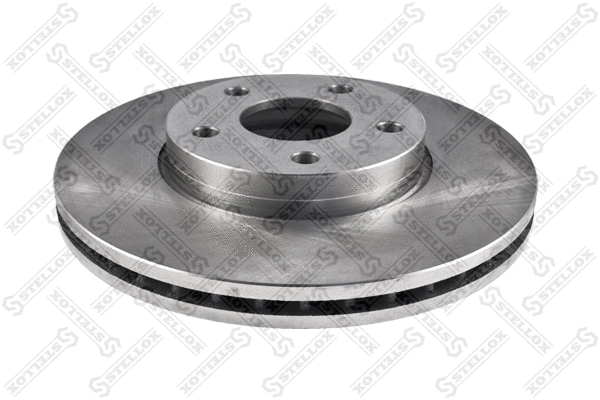 Brake Disc (6020-4848V-SX)