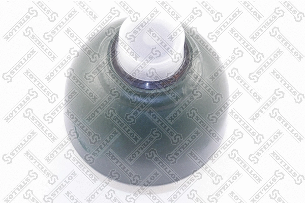 Pressure Accumulator, pneumatic suspension (70-00053-SX)