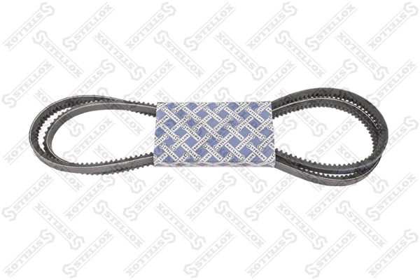 V-Belt (01-31950-SX)