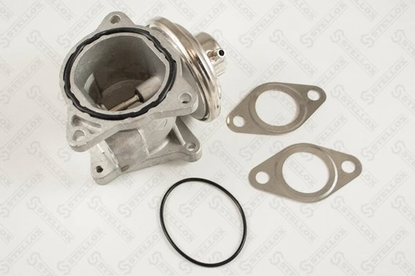 EGR Valve (01-25001-SX)