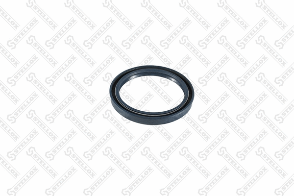 Seal Ring, spring bush (spring eye) (81-01036-SX)