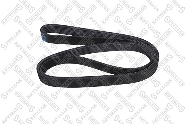 V-Ribbed Belt (07-01629-SX)