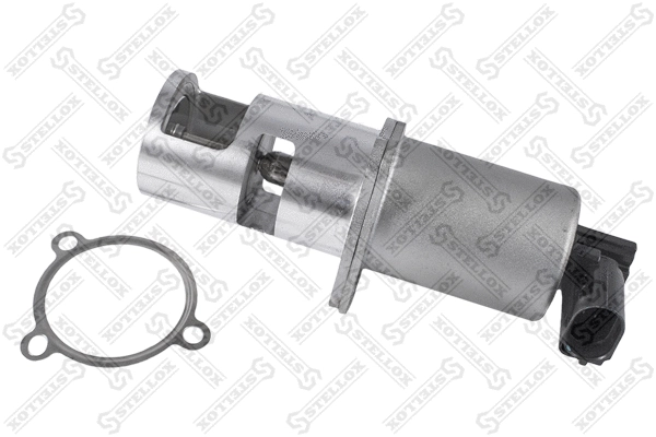 EGR Valve (01-25002-SX)