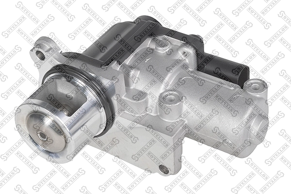 EGR Valve (01-25038-SX)
