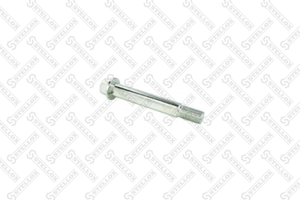 Screw (79-01105-SX)