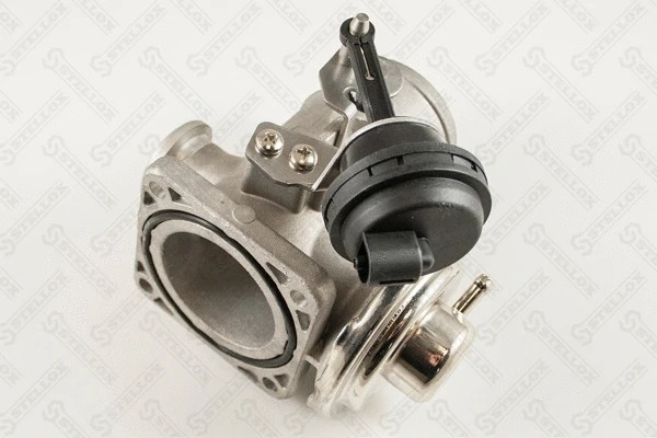 EGR Valve (01-25064-SX)